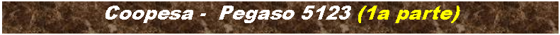 Cuadro de texto: Coopesa -  Pegaso 5123 (1a parte)