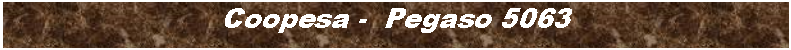 Cuadro de texto: Coopesa -  Pegaso 5063 