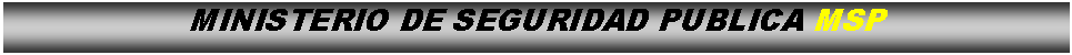 Cuadro de texto: MINISTERIO DE SEGURIDAD PUBLICA MSP
