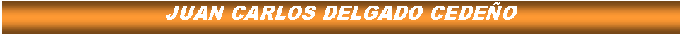 Cuadro de texto: JUAN CARLOS DELGADO CEDEO