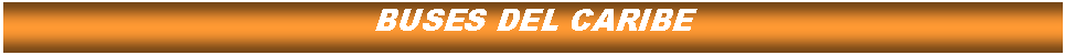 Cuadro de texto: BUSES DEL CARIBE