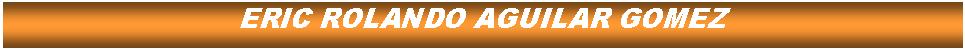 Cuadro de texto: ERIC ROLANDO AGUILAR GOMEZ