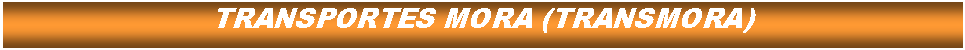 Cuadro de texto: TRANSPORTES MORA (TRANSMORA)