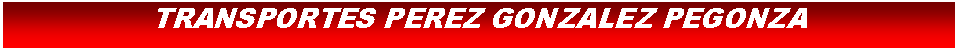 Cuadro de texto: TRANSPORTES PEREZ GONZALEZ PEGONZA