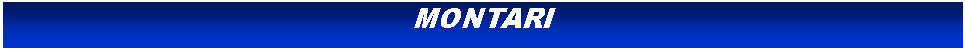 Cuadro de texto: MONTARI