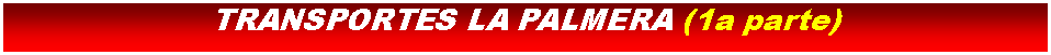 Cuadro de texto: TRANSPORTES LA PALMERA (1a parte)