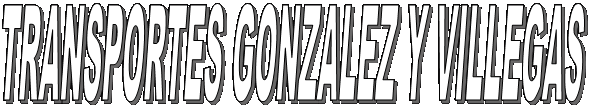 TRANSPORTES GONZALEZ Y VILLEGAS