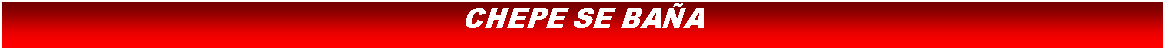 Cuadro de texto: CHEPE SE BAA
