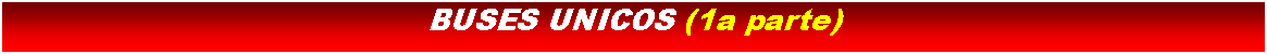 Cuadro de texto: BUSES UNICOS (1a parte)