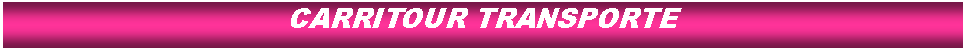 Cuadro de texto: CARRITOUR TRANSPORTE