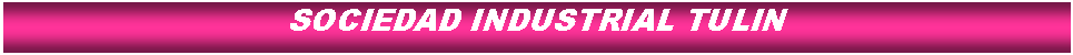Cuadro de texto: SOCIEDAD INDUSTRIAL TULIN