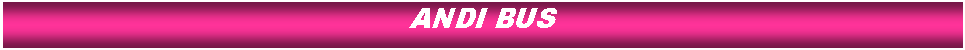 Cuadro de texto: ANDI BUS
