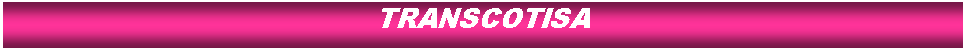 Cuadro de texto: TRANSCOTISA