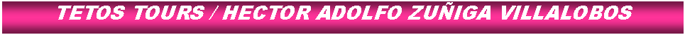 Cuadro de texto: TETOS TOURS / HECTOR ADOLFO ZUIGA VILLALOBOS
