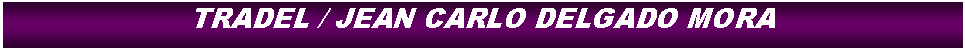 Cuadro de texto: TRADEL / JEAN CARLO DELGADO MORA