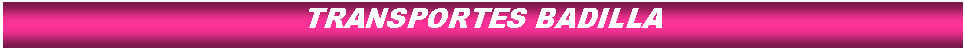 Cuadro de texto: TRANSPORTES BADILLA